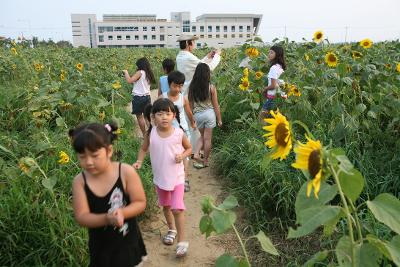 해바라기밭을 구경온 시민가족의 모습3