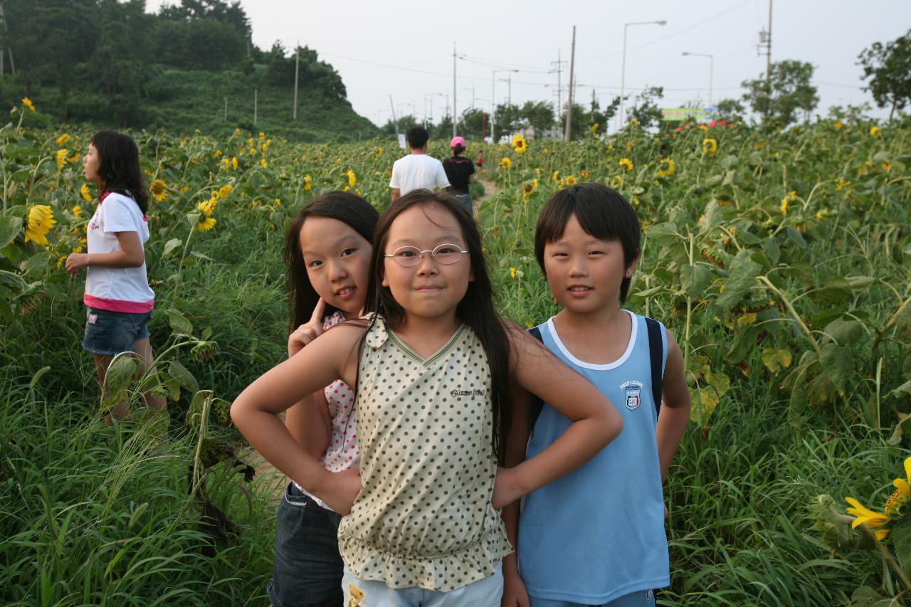 해바라기밭에서 사진을 찍는 아이들의 모습3