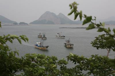 나무사이로 보이는 어선들이 떠있는 바다 뒤로 보이는 망주봉 전경2