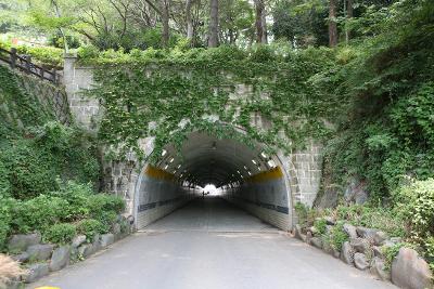 입구에 덩쿨이 엉켜있는 해망굴의 모습1