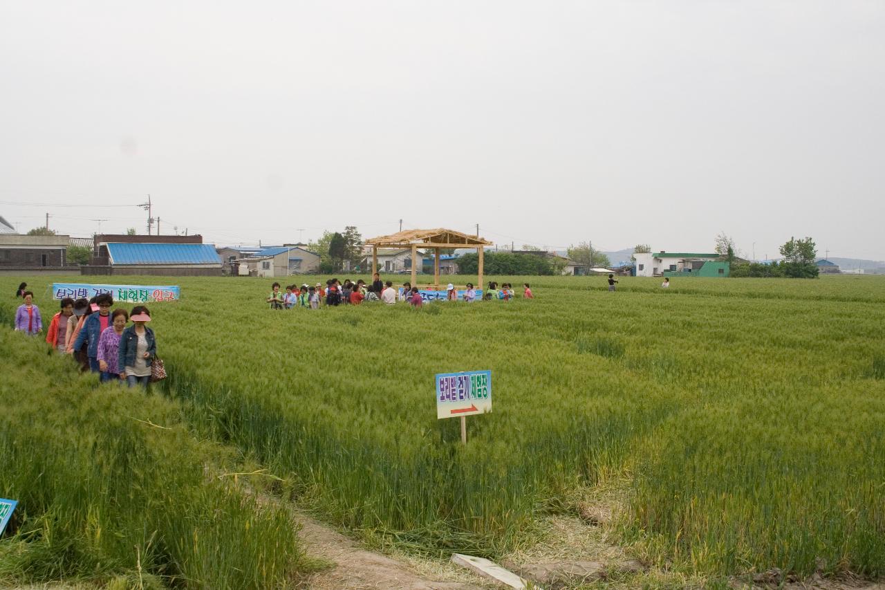 보리밭 가운데 오두막에 모여있는 관광객들과 사잇길로 걸어나오는 관광객들