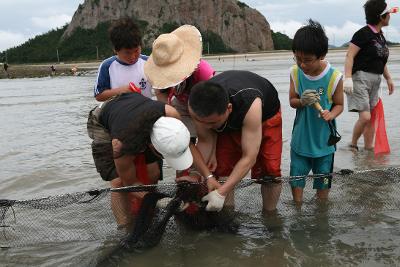 그물에서 물고기를 건지는 사람들 뒤에 보이는 망주봉2