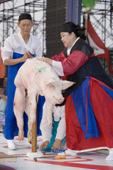 돼지로 굿을 하는 무당3사진(00009)