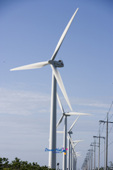 나란히 줄서있는 풍력발전기의 모습5사진(00005)