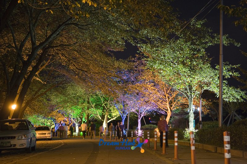 은파유원지의 여러가지 조명빛때문에 색깔이 변한 가로수 길을 산책하시는 시민들의 모습1
