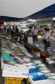 대야재래시장에서 어류판매하는 곳의 모습사진(00002)