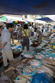대야재래시장의 어류를 판매하는 곳의 모습2사진(00007)