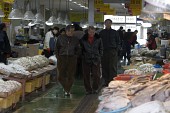 수산물 전용 시장에서 수산물을 보며 지나가고 있는 사람들사진(00002)