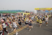 마라톤대회에 참가해 달리고 있는 참가자들3사진(00020)