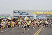 마라톤을 하고 있는 참가자들3사진(00004)