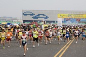 마라톤을 하고 있는 참가자들4사진(00005)