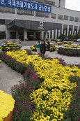 국화꽃 전시회에서 꽃을 구경하고 있는 사람들3사진(00004)