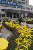 국화꽃 전시회에서 꽃을 구경하고 있는 사람들4사진(00005)