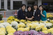 국화꽃 전시회에서 꽃과 함께 사진을 찍고 있는 사람들1사진(00006)