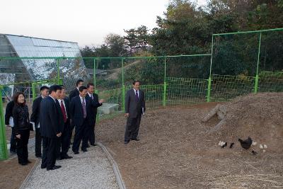 철새축제 현장에 사육되고 있는 닭을 보며 이야기하시는 문동신 시장님과 관계자들의 모습1