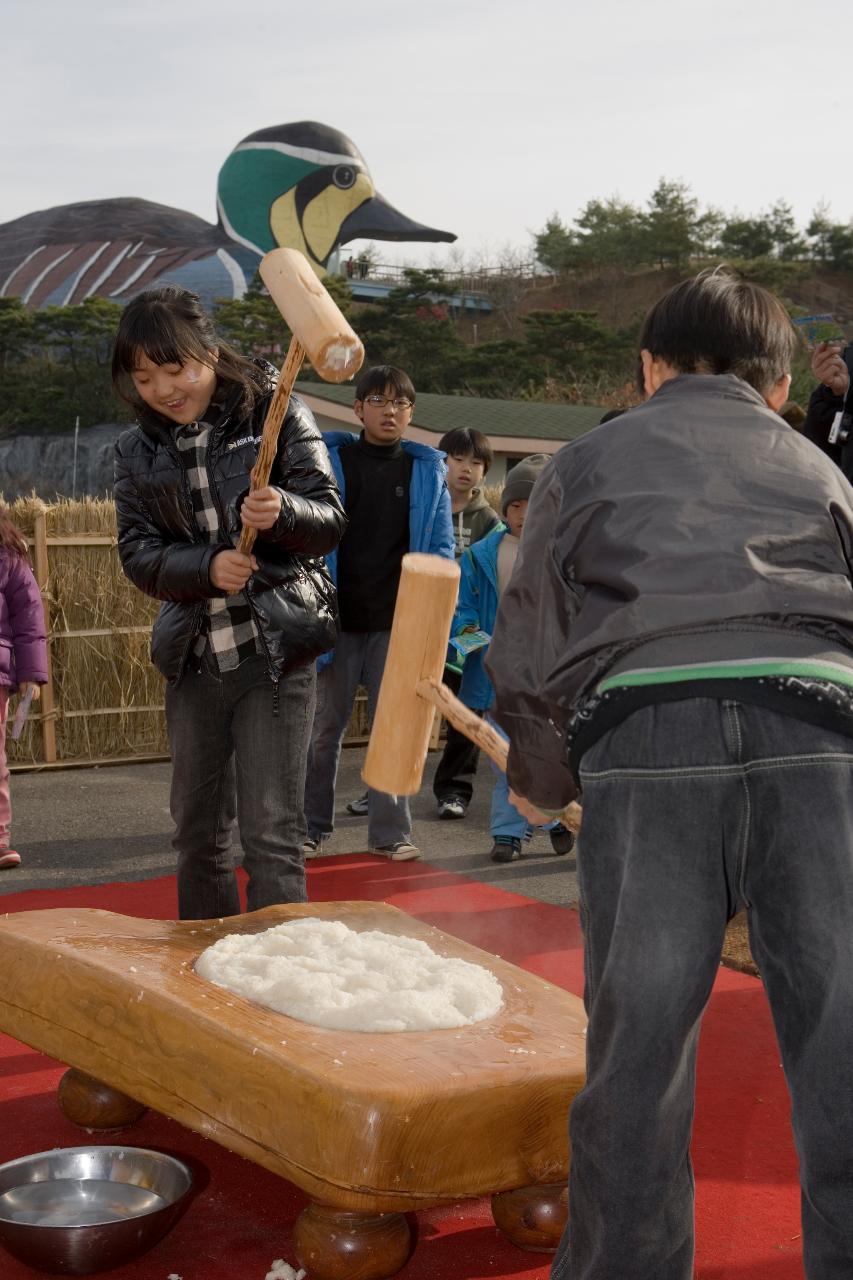 철새페스티벌에서 체험을 하고 있는 사람들