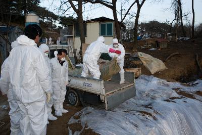 직접 일에 동참해보시는 시장님2