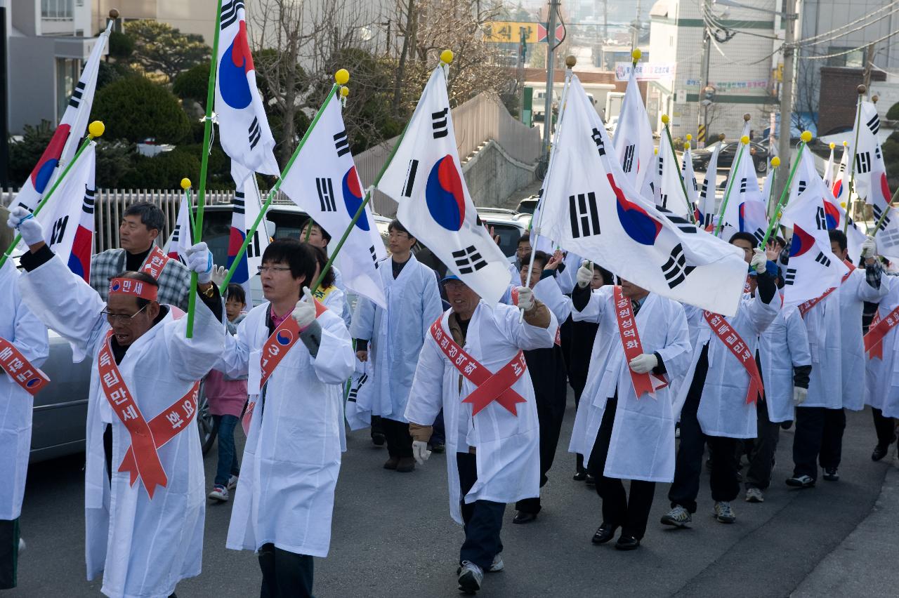 태극기를 손에 들고 흔드는 사람들4