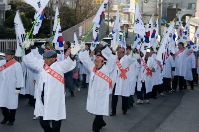 태극기를 손에 들고 흔드는 사람들3