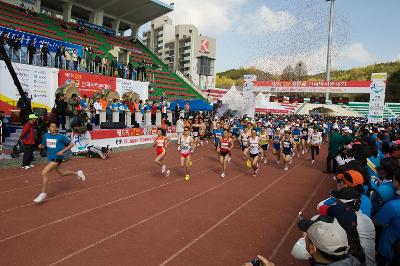 제6회 군산새만금마라톤