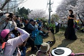 포즈를 취하는 벚꽃아가씨와 사진을 찍는 많은 사람들1사진(00023)