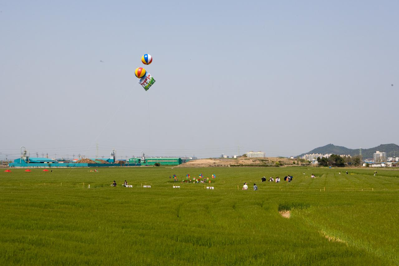 넓은 꽁당보리밭과 듬성듬성보이는 사람들