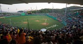 응원중인 관객들과 야구경기중인 모습1사진(00172)