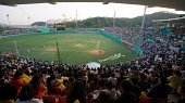 응원중인 관객들과 야구경기중인 모습2사진(00175)