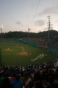 응원중인 관객들과 야구경기중인 모습6사진(00187)