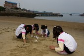 모래사장에서 놀고있는 아이들사진(00002)
