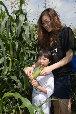 선생님의 도움을 받아 옥수수를 따는 아이의 모습3