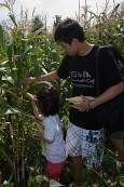 선생님의 도움을 받아 옥수수를 따는 아이의 모습5사진(00006)