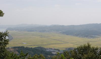 황금바둑판을 보는듯한 나포의 십자들녘1