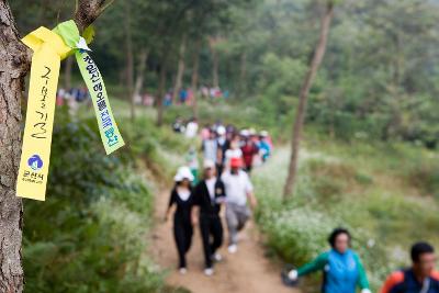 청암산 구불길 등반대회