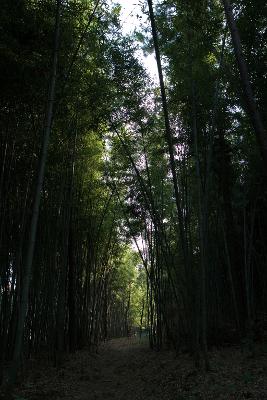 옥산면 청암산 구불길