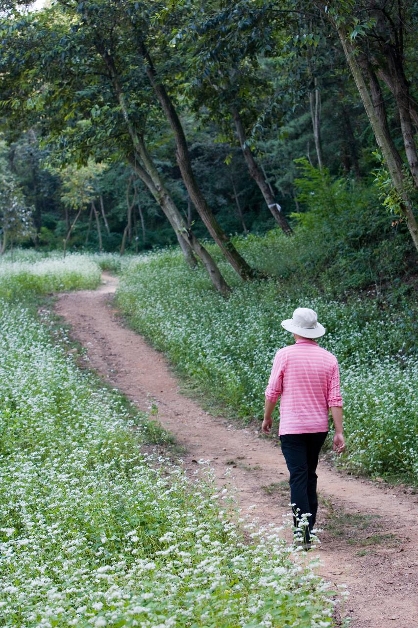 옥산면 청암산 구불길