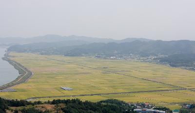 황금바둑판을 보는듯한 나포의 십자들녘3