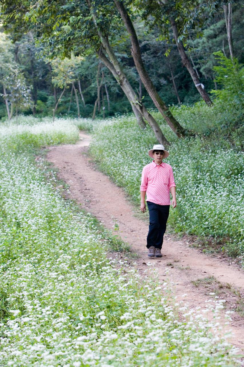 옥산면 청암산 구불길