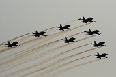 연기를 내뿜으로 에어쇼를 선보이는 항공기들의 모습7사진(00240)