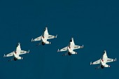 상공 중인 항공기들의 모습16사진(00262)