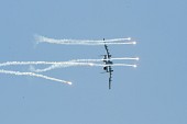 상공 중인 항공기들의 모습31사진(00388)