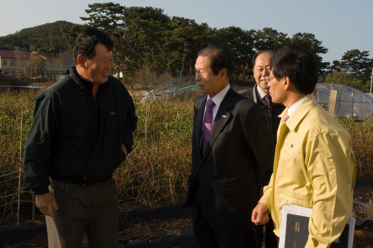 인부들과 대화를 나누는 시장님3