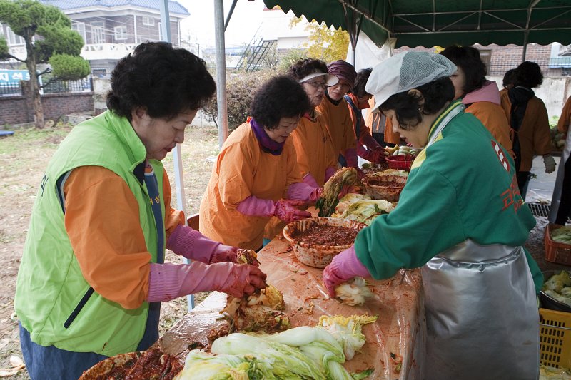 배추에 양념을 하고 계신 아주머니들1