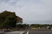 나무들이 많은 일본 한 거리의 모습사진(00124)