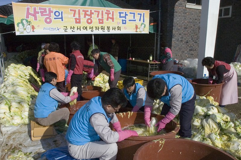 김장김치를 담그는 봉사를 하기 위해 절여놓은 배추들을 손질하고 있는 모습7
