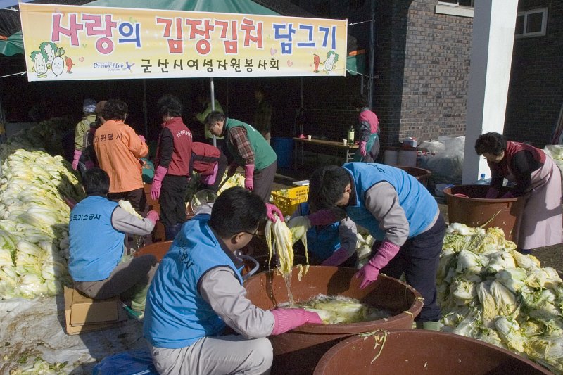 김장김치를 담그는 봉사를 하기 위해 절여놓은 배추들을 손질하고 있는 모습8