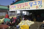김장김치를 담그는 봉사를 하기 위해 절여놓은 배추들을 손질하고 있는 모습2사진(00003)