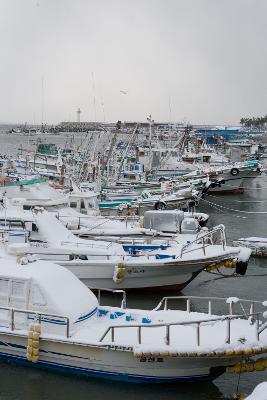 大雪 관련