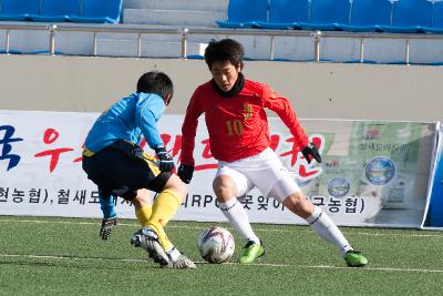 금석배축구