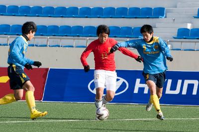 금석배축구